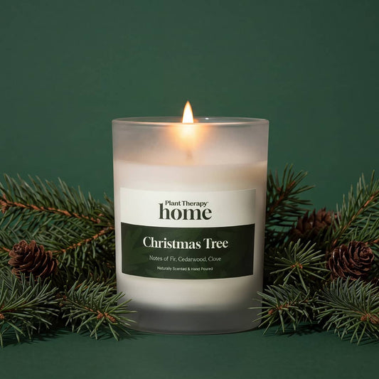 A lit frosted glass candle jar labeled Plant Therapy Home Christmas Tree, surrounded by pine branches and pinecones against a dark green background.