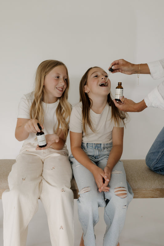 Elderberry Tincture: Immune System Support