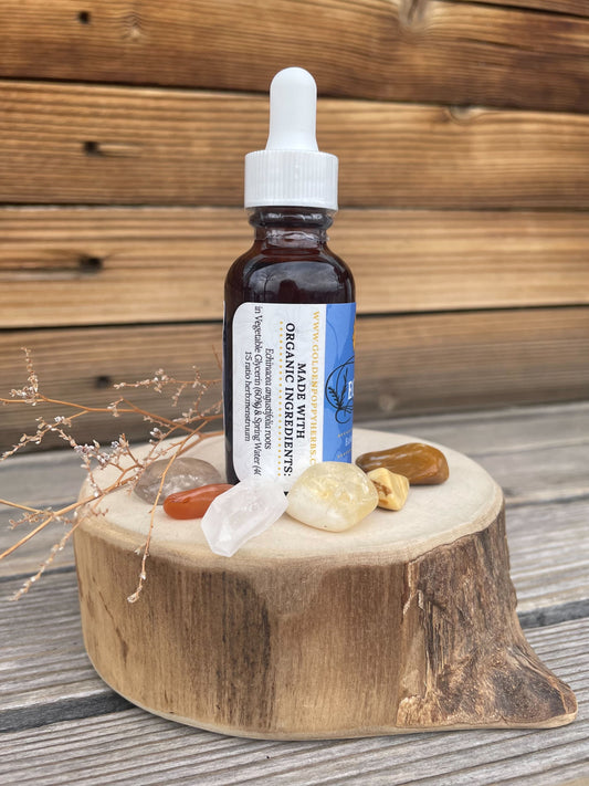 Echinacea Root Glycerite, 1 oz bottle