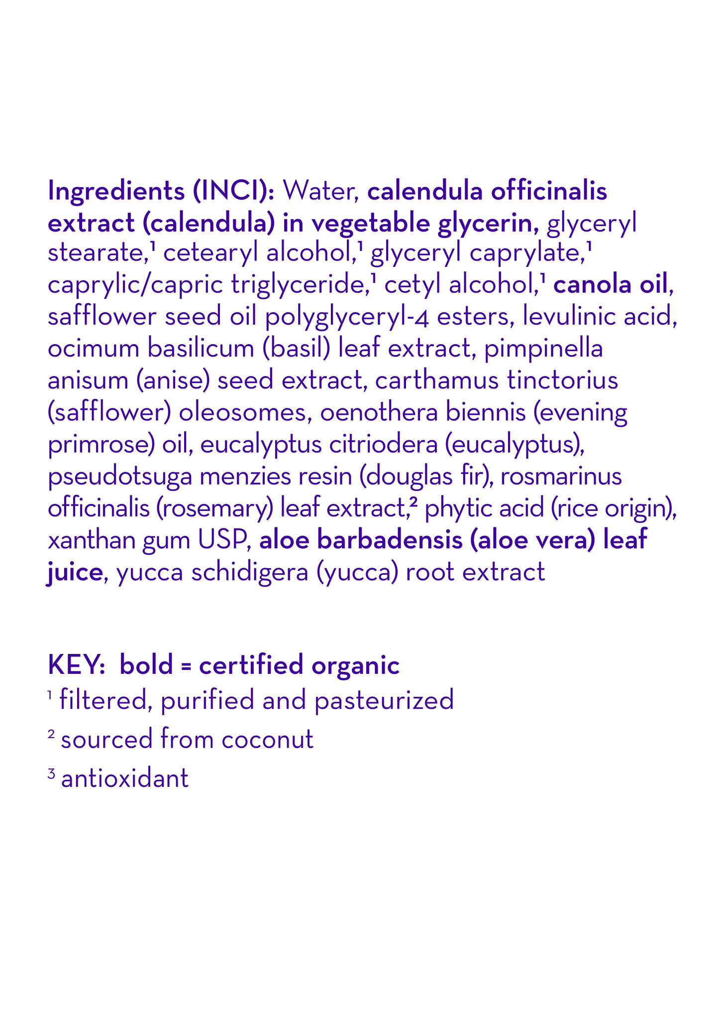 Eucalyptus Ease™ Everyday Lotion