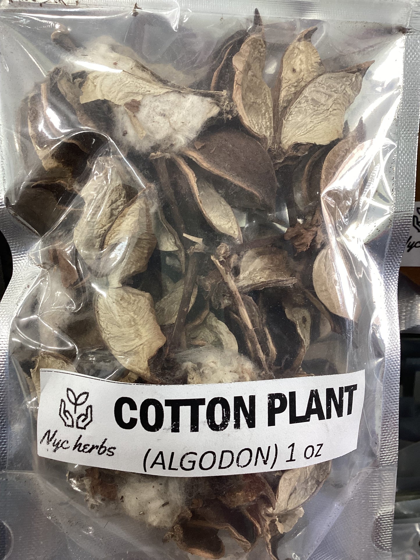 Cotton Plant | The Fabric of Life