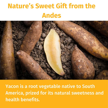 Organic Yacon Syrup