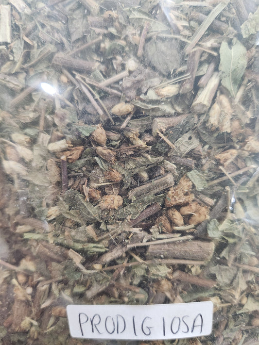 Dream Herb (Prodigiosa) | Lucid Dreaming & Mental Clarity