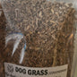 Dog Grass | Urinary Health & Respiratory Soother