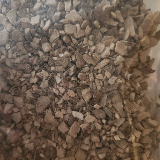 Calamus Root | Focus, Digestion & Nervous System Tonic