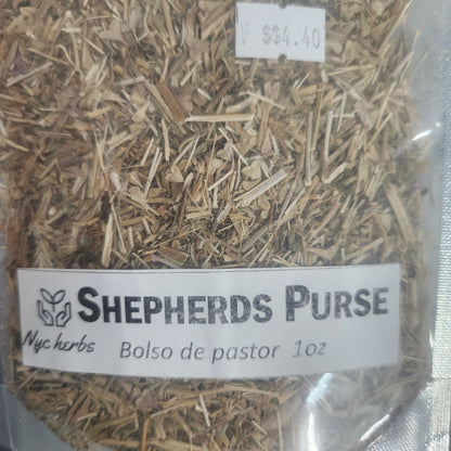 Shepherd's Purse | Bleeding, Hormone & Urinary Support