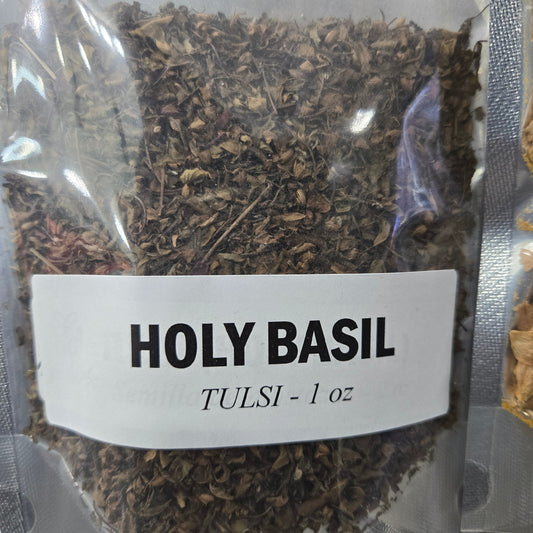Tulsi (Holy Basil)