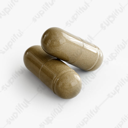 Ginkgo Biloba + Ginseng