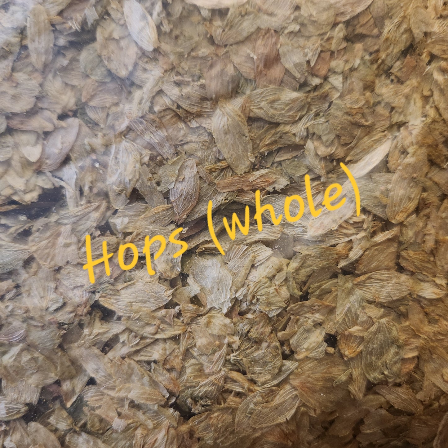 Hops | Calm Relaxation & Digestive Ease