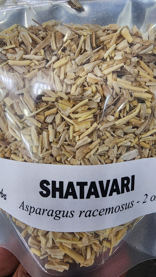 Shatavari | Women's Hormonal Balance & Reproductive Tonic