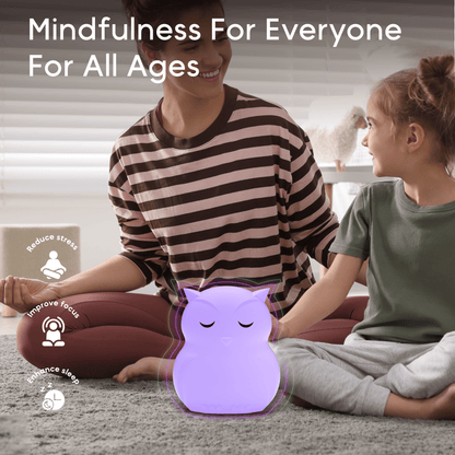 Breathing Pal 'Ollie' The Owl