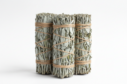 Sage Herb