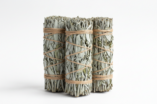 Sage Herb