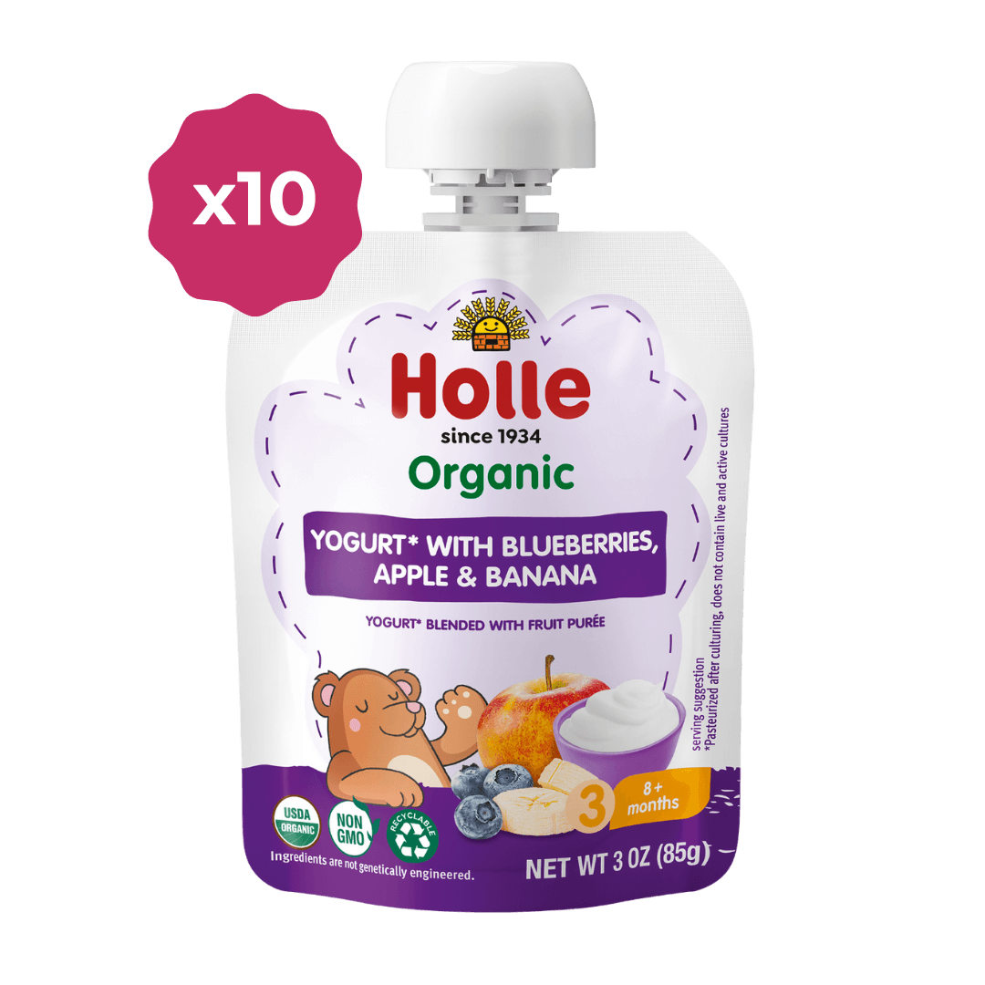 Holle Organic Yogurt Pouches - Blueberries, Apple & Banana