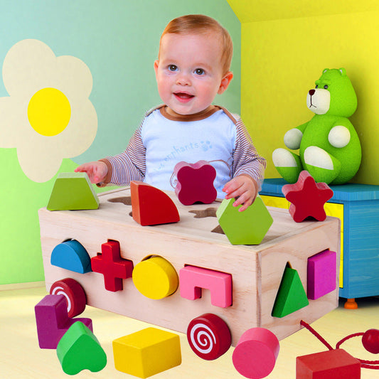 Wooden Shape Matching Building Blocks – Educational Sorting Toy for Toddlers