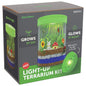 Educational Light-Up Terrarium Kit