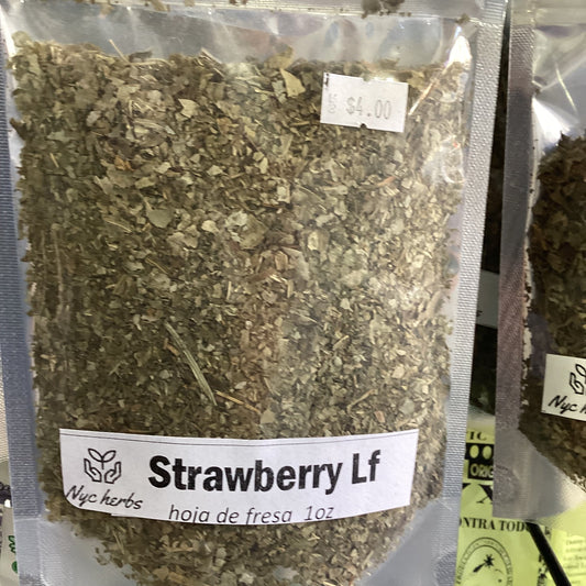 Strawberry Leaf | Detox, Digestion & Skin Health Support