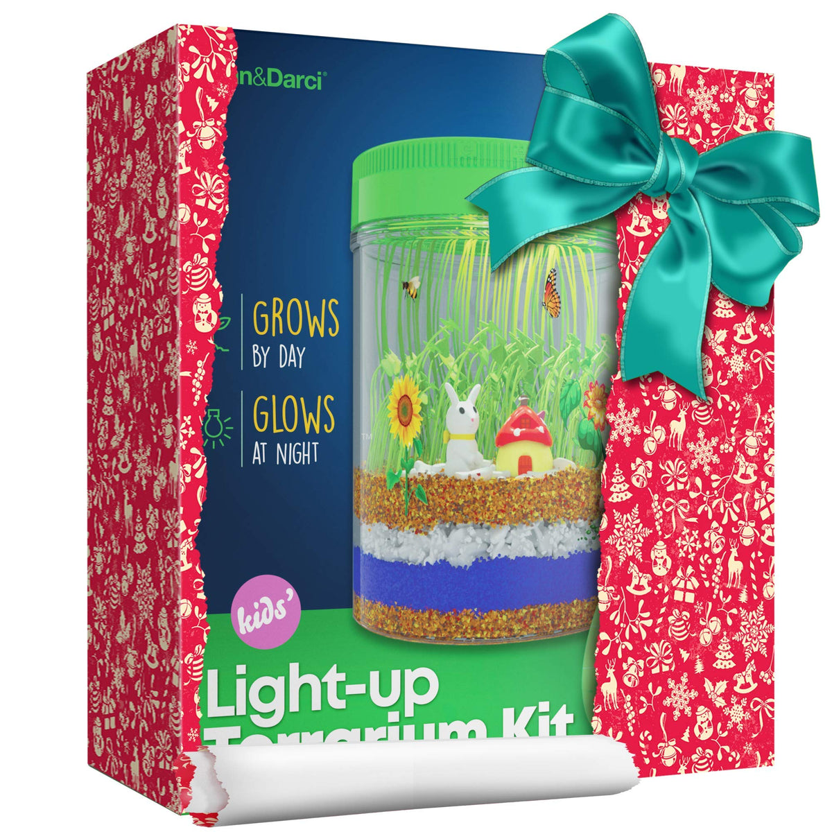 Educational Light-Up Terrarium Kit