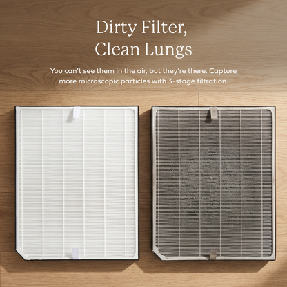 AirDoctor 2000 Series UltraHEPA® Filter