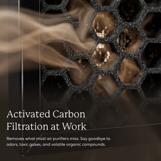 AirDoctor 3000 Series Premium Carbon/VOC Filter