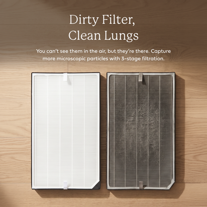 AirDoctor 5000 Series UltraHEPA® Filters (2-Pack)