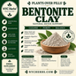 Bentonite Clay | Detoxifying & Healing Earth