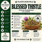 Blessed Thistle Herb