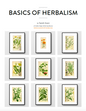 Basics of Herbalism eBook: A Beginner’s Guide to Plant Medicine eBook
