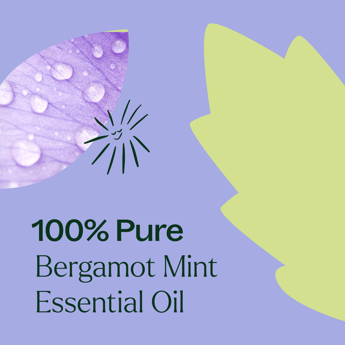 Bergamot Mint Essential Oil