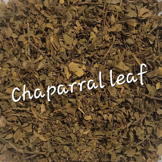 Chaparral Leaf