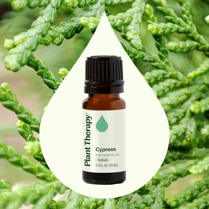 Cypress Essential Oil
