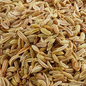 Dill Seed | Digestive & Relaxation Support