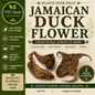 Duck Flowers (Contribo Flower) | Intense Detox & System Reset