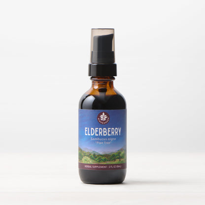 Elderberry Tincture