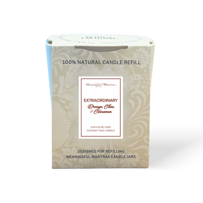 Extraordinary Cinnamon Spice 8oz Natural Candle Kaia Collection Refill