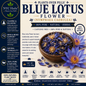 Blue Lotus | Dreamy Calm & Spiritual Awakening