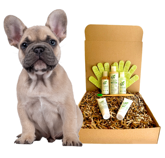 4-FURRY DOGS *REGULAR GROOMING KIT