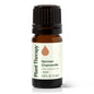 German Chamomile Essential Oil