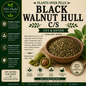 Black Walnut Hull c/s | Parasite Cleanse & Digestive Strength