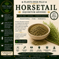 Horsetail Herb c/s | Hair, Skin & Bone Support