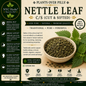 Nettle Leaf | Mineral-Rich Strength & Vital Energy