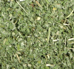 Horehound | Respiratory Relief & Digestive Aid
