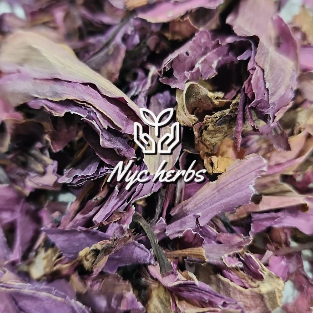 Red Lotus | Relaxation, Meditation & Heart-Opening Support