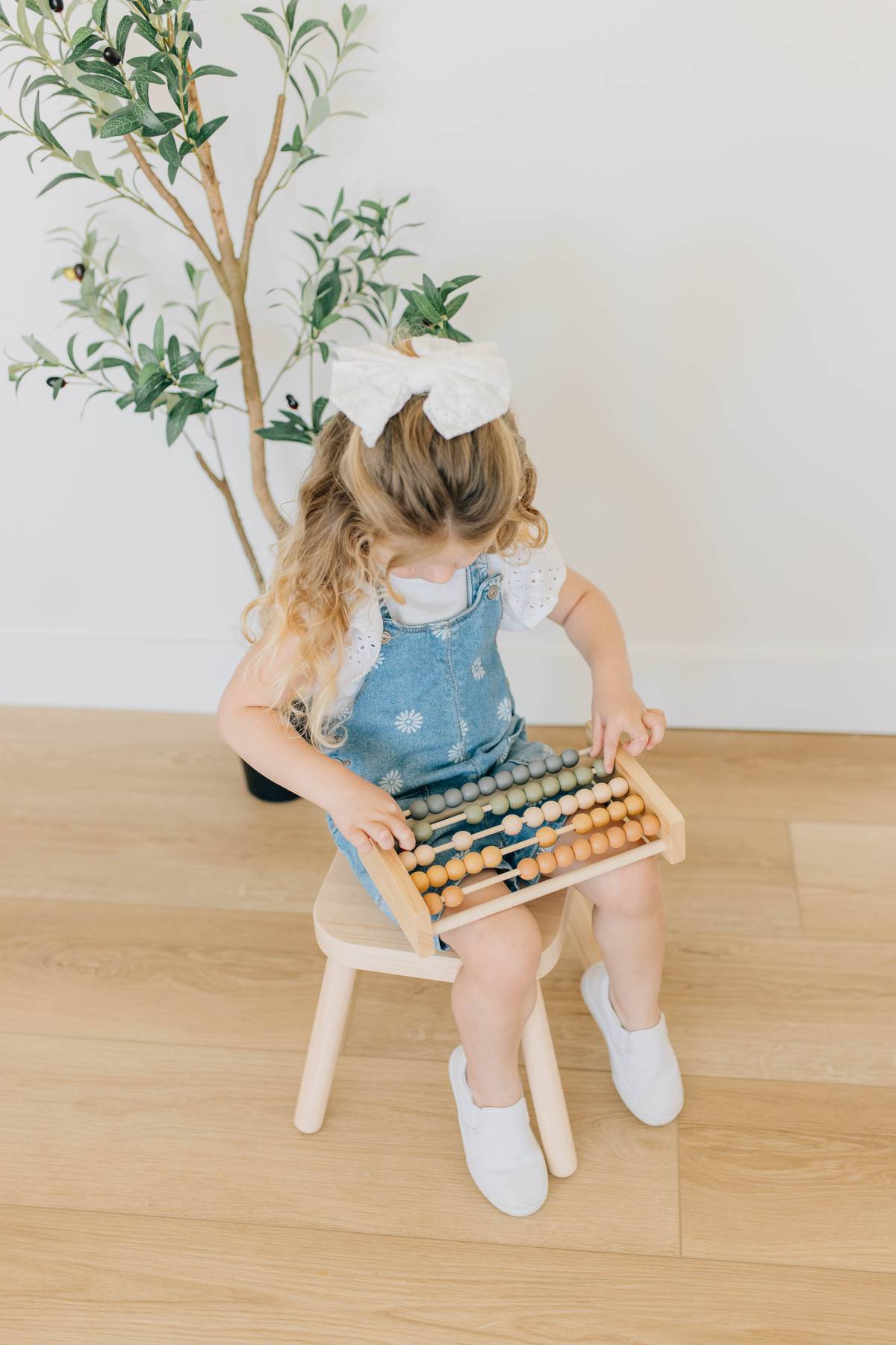 Neutral Wooden Abacus