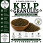 Kelp