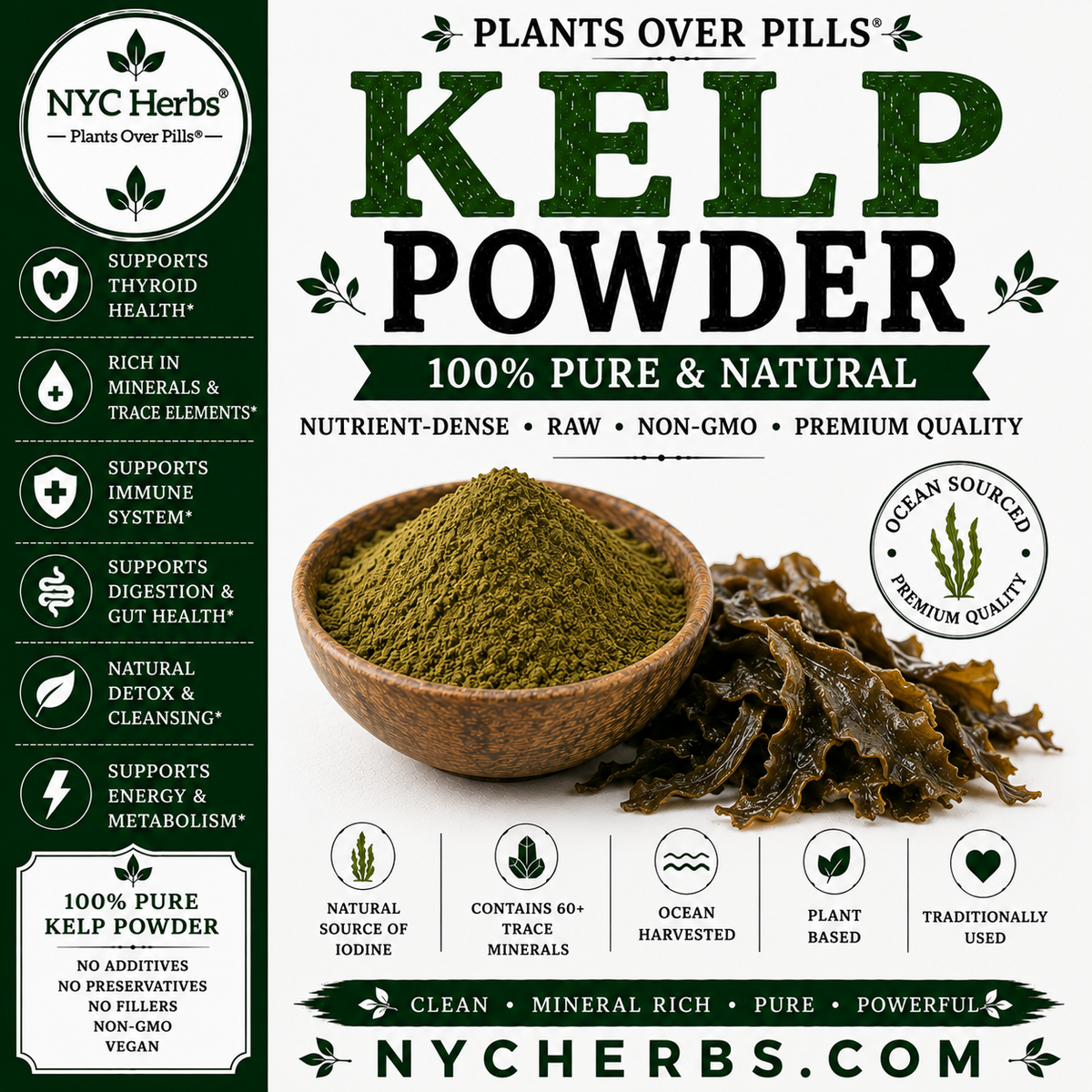 Kelp