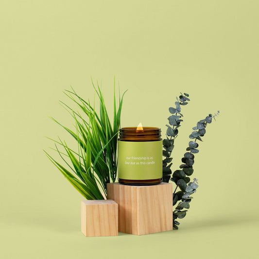 Low Tox Friendship Jar Candle