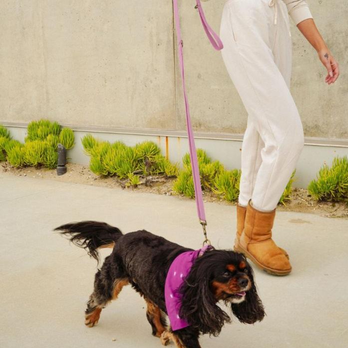 Malibu Sunset Sustainable Hemp Cotton Adjustable Dog Leash – Durable & Soft