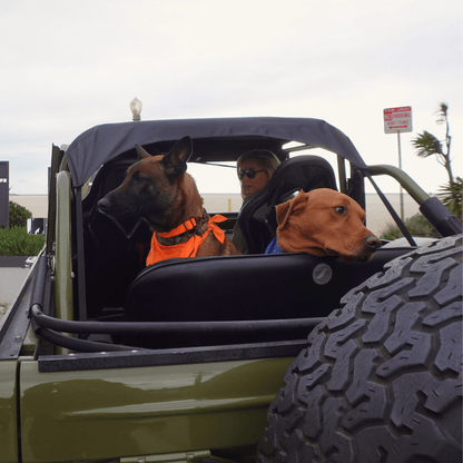 Malibu Sunset Sustainable Hemp Cotton Adjustable Dog Collar– Durable & Soft