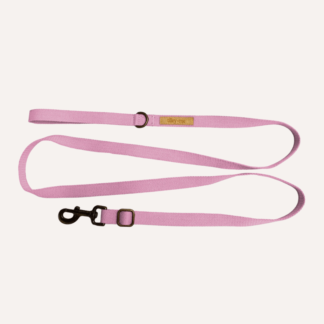 Malibu Sunset Sustainable Hemp Cotton Adjustable Dog Leash – Durable & Soft